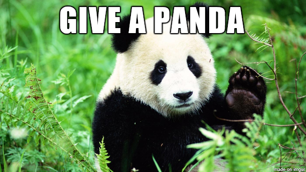 Give a Panda.png